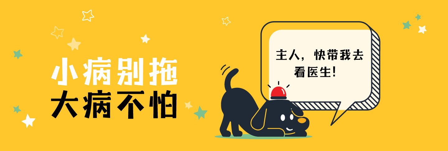 Chinese-dog-1